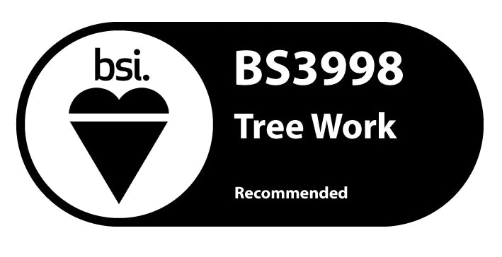 BSI3998 Logo